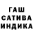 МАРИХУАНА сатива Foreordained 777