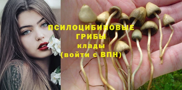 герыч Арсеньев