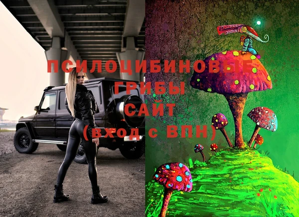 меф Няндома