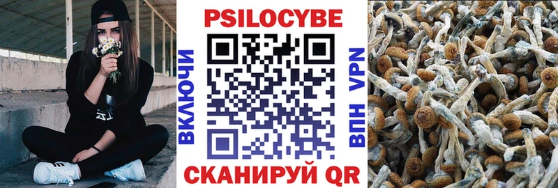 закладка Крым Псилоцибиновые грибы прущие грибы